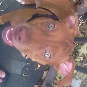 Meet your Posher, Josephine